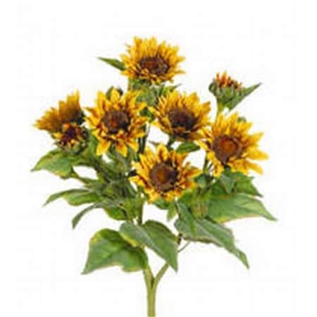 FBS456-YE 22 In. Yellow Sunflower Bush X9- Case Of 4